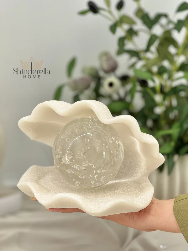 صدفة حجم كبير جرانيت