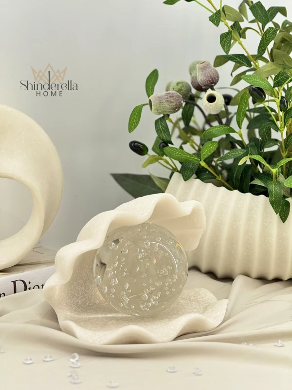 صدفة حجم وسط جرانيت