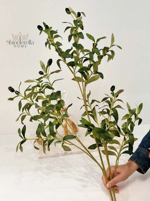 عرق زيتون اخضر3فروع