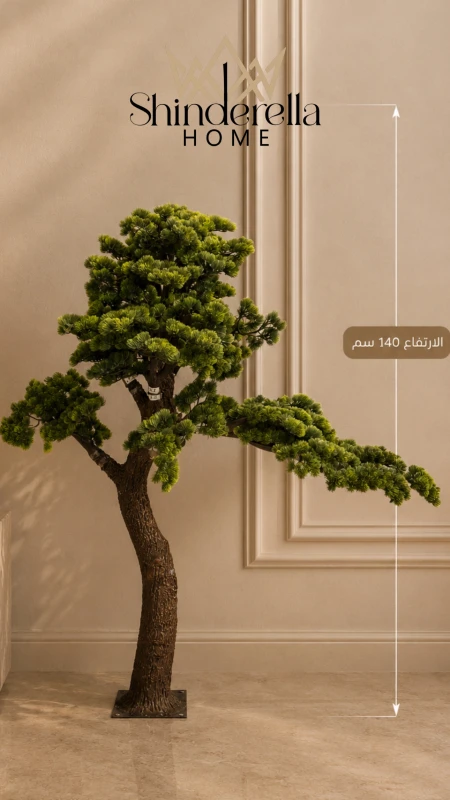 شجرة بونزاي حجم كبير✨