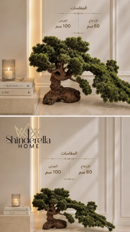شجرة بونزاي حجم صغير✨